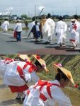 玉前神社御田植.jpg